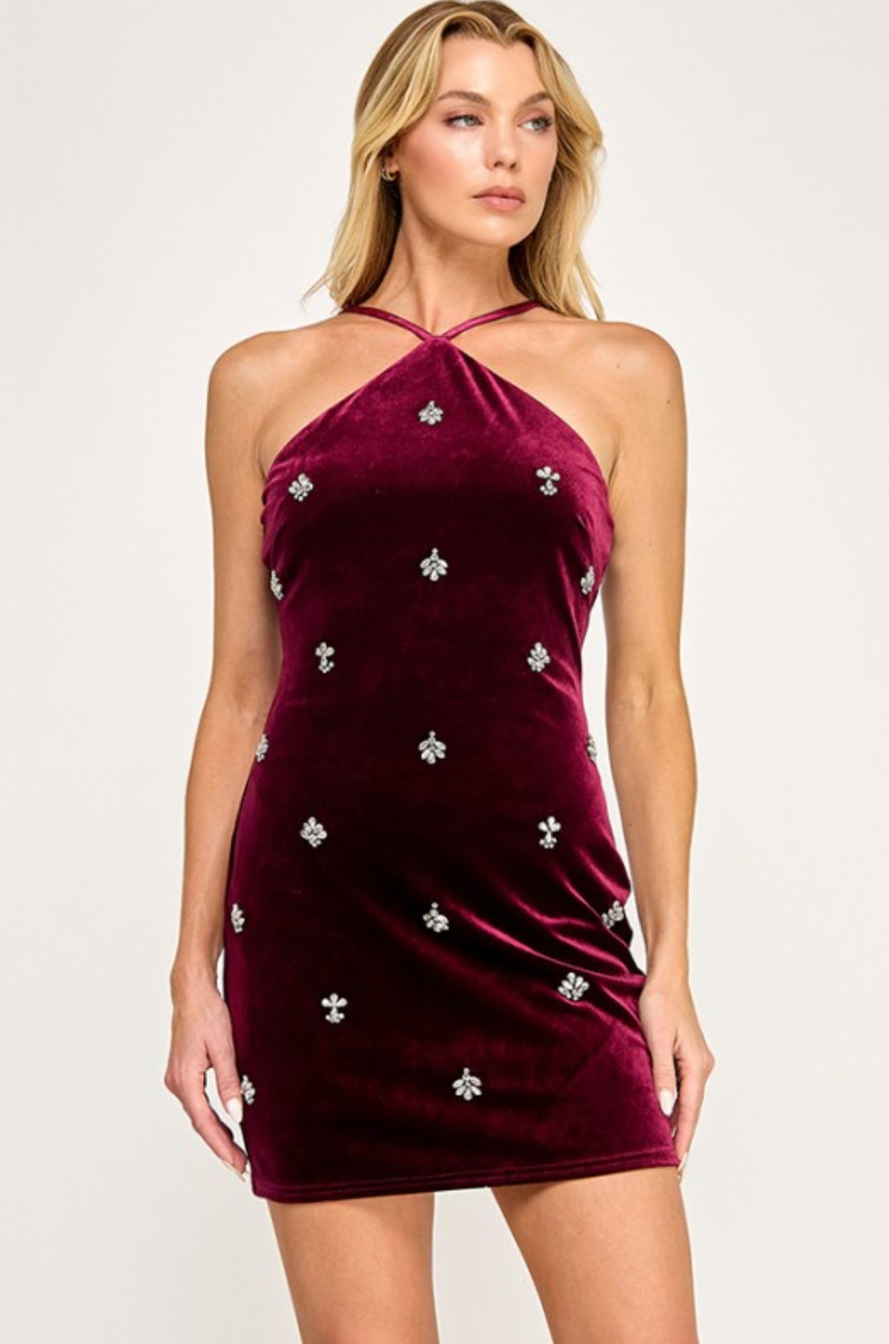 Velvet Stardust Dress
