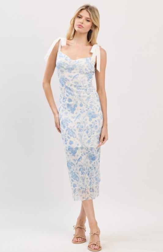Daisy Blue Maxi Dress